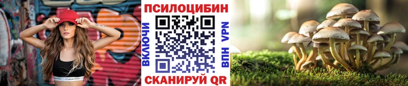 Галлюциногенные грибы Cubensis  Ладушкин 